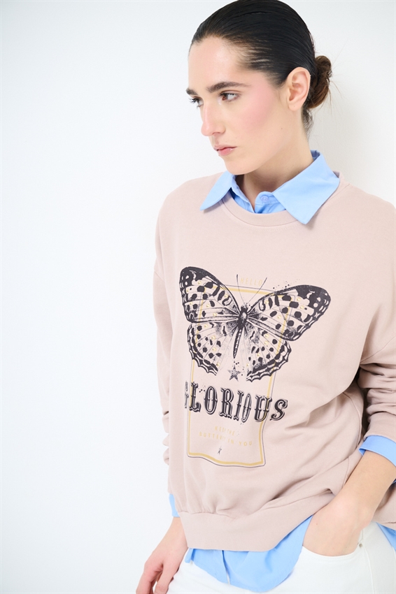 FELPA OVERSIZE CON STAMPA FARFALLA ROSA