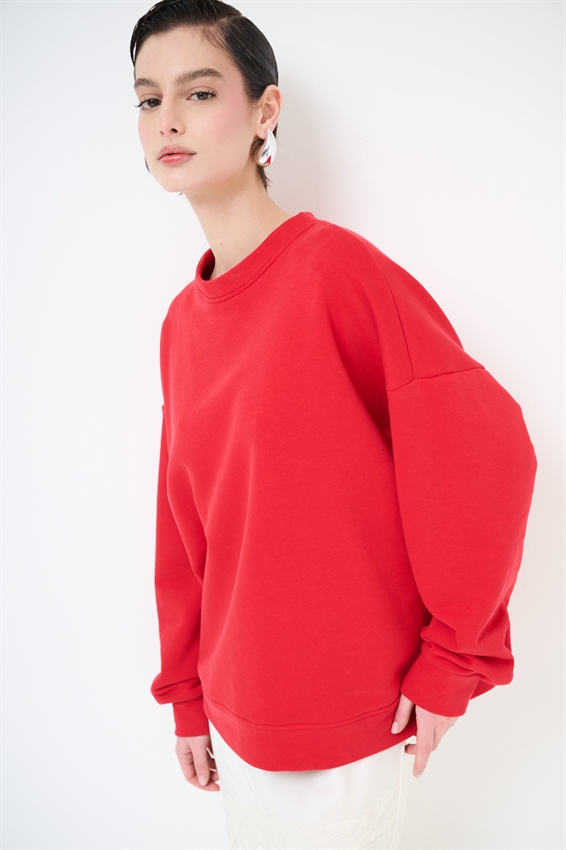 FELPA BASIC PARICOLLO STAMPA CHAT GPT DT. ROSSO